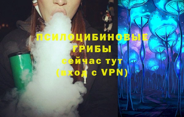 ECSTASY Мегион